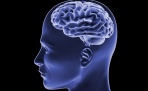 Президент США предложил запустить масштабный проект по изучению мозга