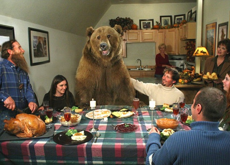 Медведь Брутус — история дружбы с человеком
